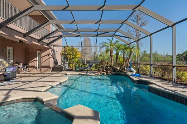 21604 DRAYCOTT WAY, Land O Lakes, FL 34637