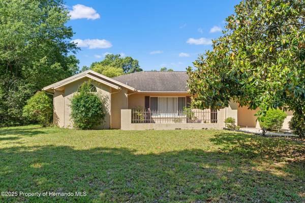 1379 Matthew Avenue, Spring Hill, FL 34609