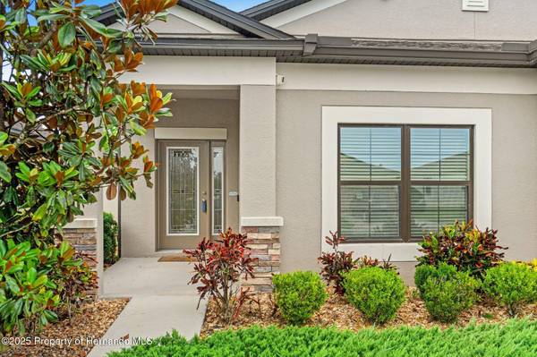 18620 Rococo Road, Spring Hill(pasco), FL 34610