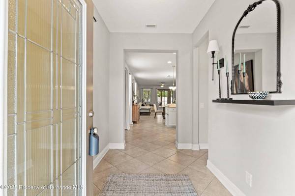 18620 Rococo Road, Spring Hill(pasco), FL 34610