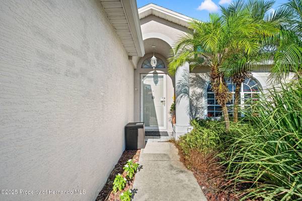 5239 Berrien Avenue, Spring Hill, FL 34608