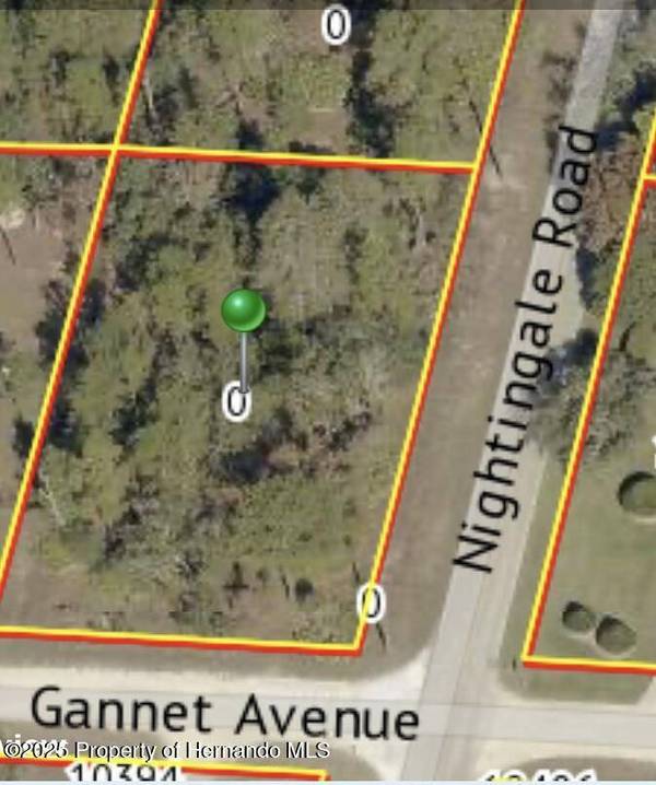 9021 Nightingale Road, Weeki Wachee, FL 34613
