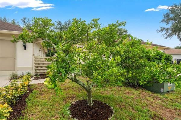 7350 ROSEMONT LN, Spring Hill, FL 34606