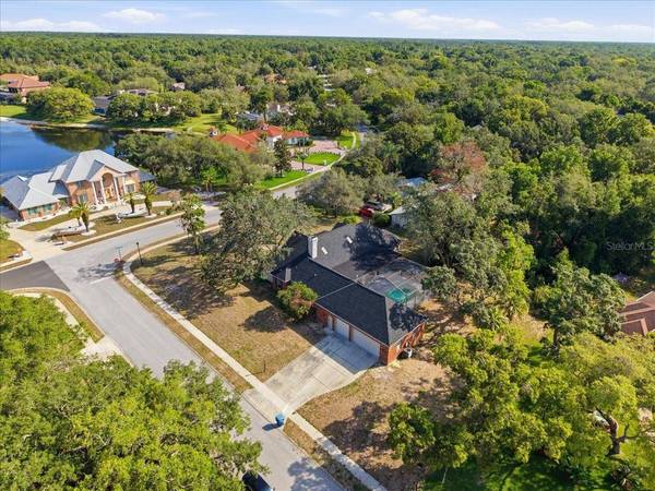 4558 LAKE IN THE WOODS DR, Spring Hill, FL 34607