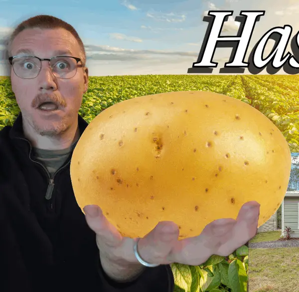 feature image of Why Hastings, Florida Still Feels Like the Real Florida