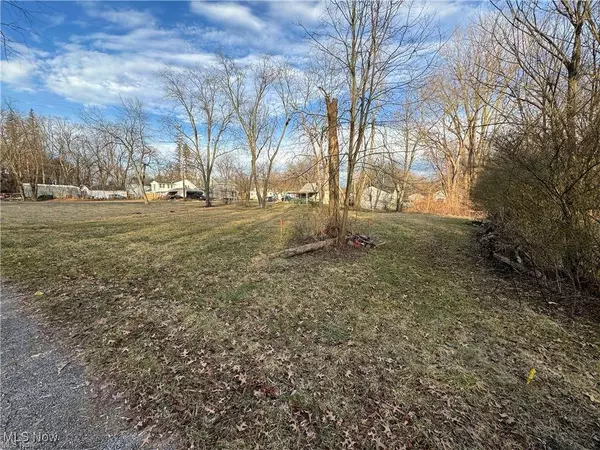 1229 Pickford AVE, Akron, OH 44320