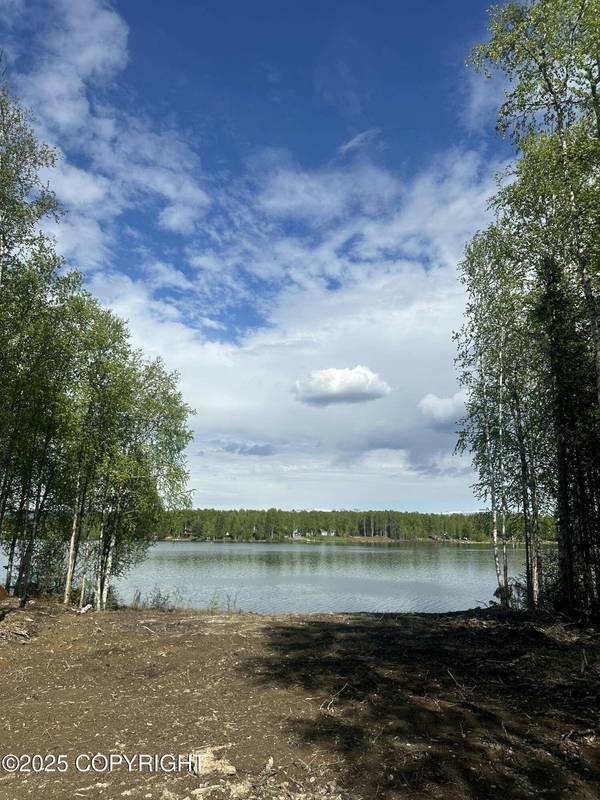 13505 N Willow Lake DR, Willow, AK 99688