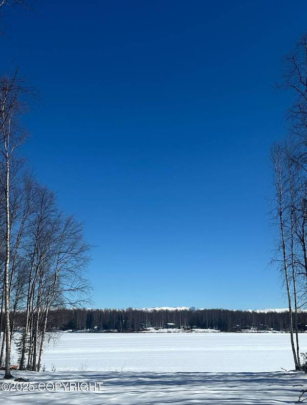 13505 N Willow Lake DR, Willow, AK 99688