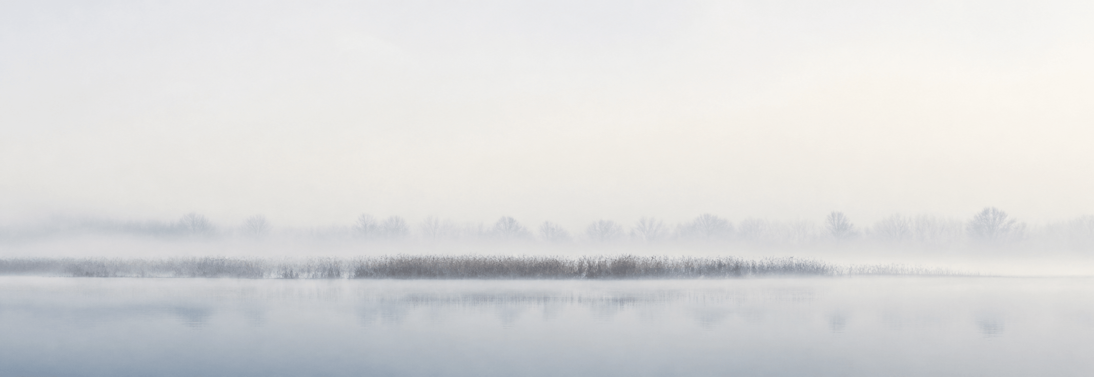 The Chain O'Lakes at dawn under heavy mist, with reeds and a soft treeline on the horizon
