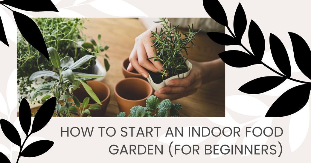 How to Start an Indoor Food Garden (for Beginners)