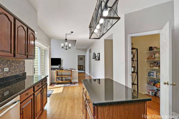 232 Bobolink DR, Grayslake, IL 60030