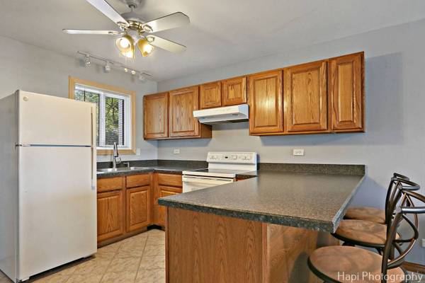 52 N Pistakee Lake RD #4, Fox Lake, IL 60020