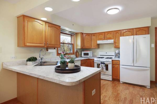 38689 N Boulevard View AVE, Wadsworth, IL 60083