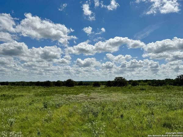 133 Wheeler, Stockdale, TX 78160