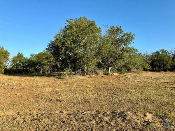 133 Wheeler ST, Stockdale, TX 78160