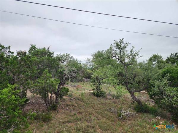 286 Flanders, Fischer, TX 78623
