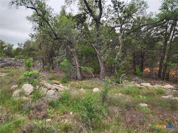 286 Flanders, Fischer, TX 78623