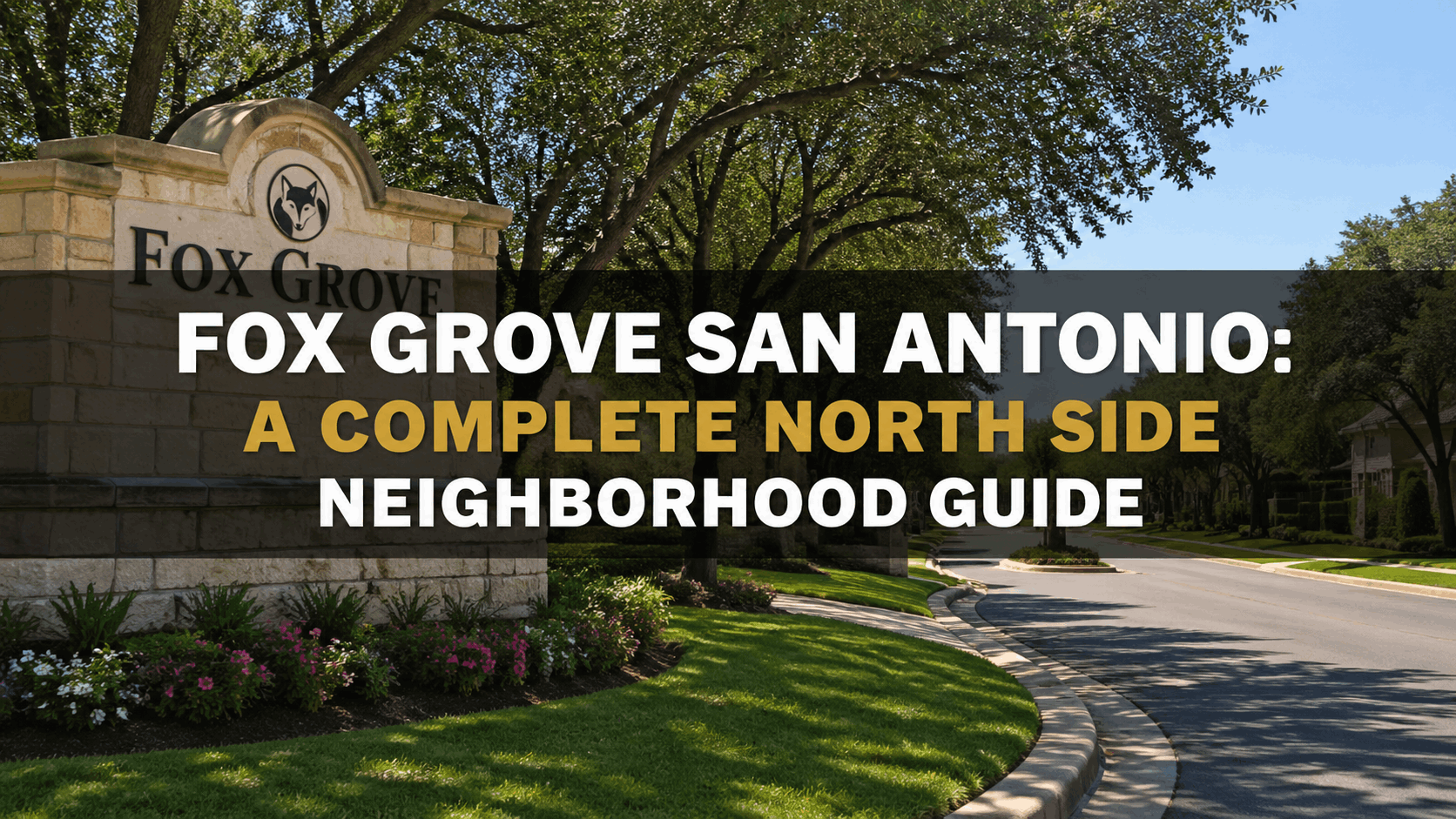 Fox Grove San Antonio: A Complete North Side Neighborhood Guide