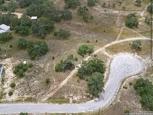 135 Eli Chandler, Blanco, TX 78606