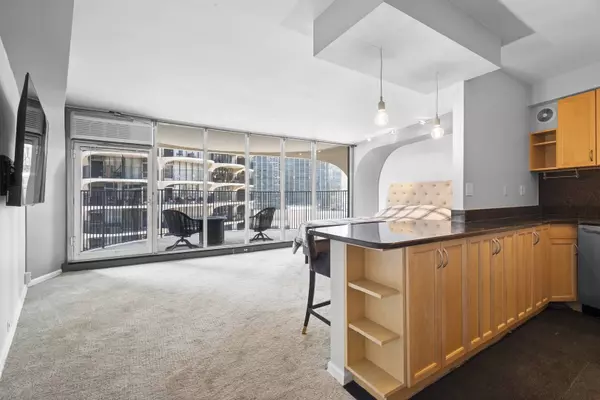 300 N State Street #2824, Chicago, IL 60654