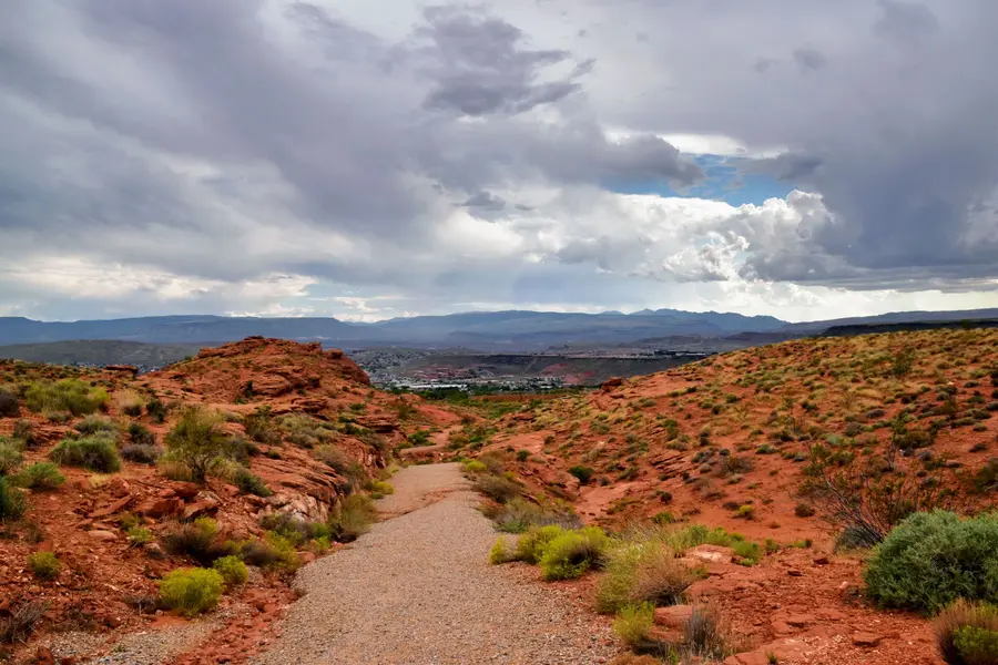 Desert Hills