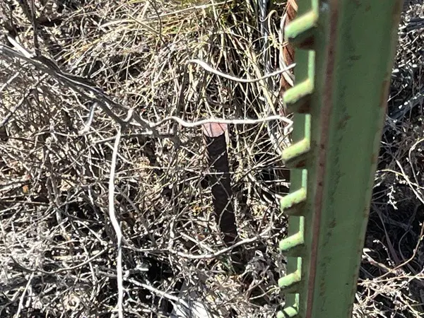 9.51 Ac with 0.5 AF of Water, Beryl, UT 84714