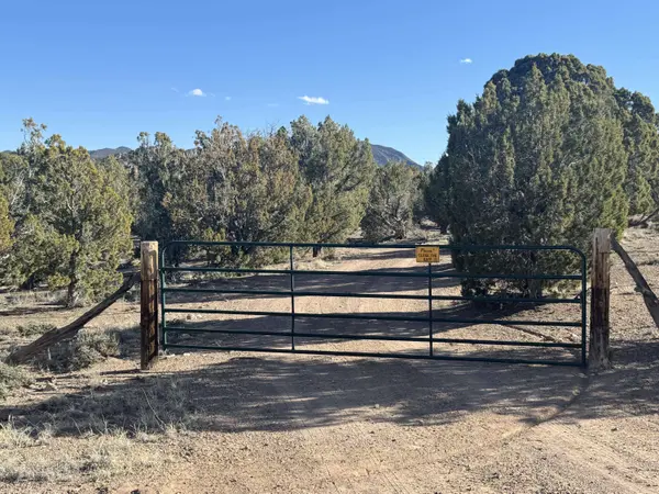 10 Acres, Power, Water Right, Newcastle, UT 84756