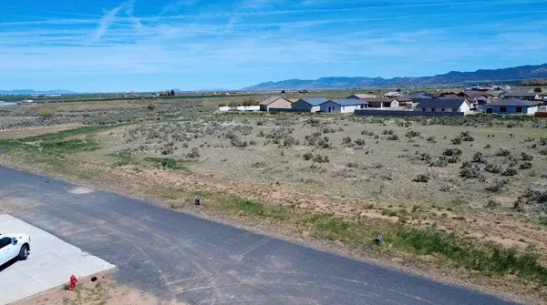 1.01 Acre Parcel #E-CWR-2-16, Enterprise, UT 84725