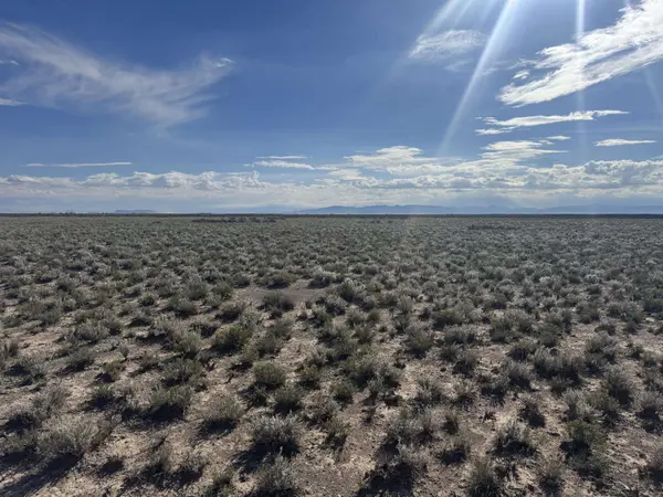 2.10 Acre (2 Lots)