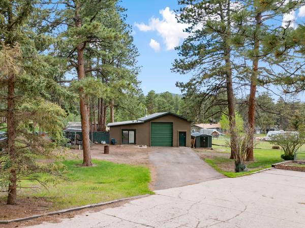 10 Ollie Ct, Woodland Park, CO 80863-1044