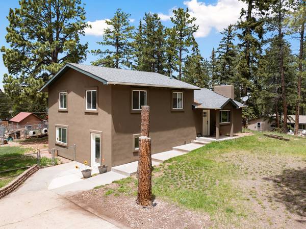 10 Ollie Ct, Woodland Park, CO 80863-1044