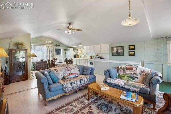 256 Whale DR, Lake George, CO 80827