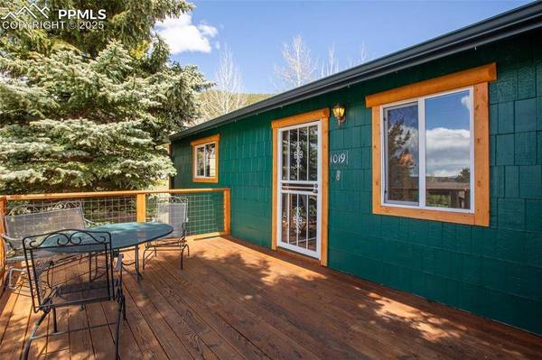 1019 Pine Ridge RD, Woodland Park, CO 80863