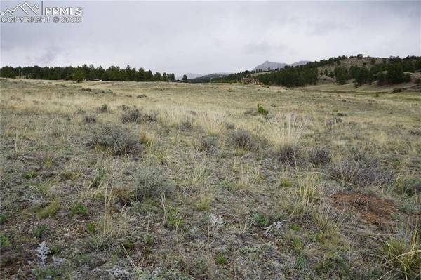 506 Forge DR, Florissant, CO 80816