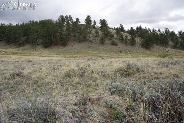 506 Forge DR, Florissant, CO 80816