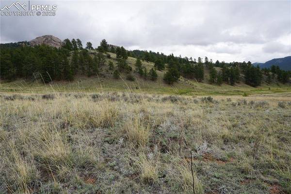 506 Forge DR, Florissant, CO 80816