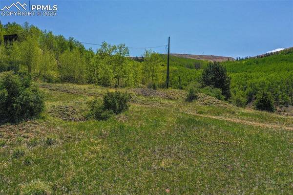 Unknown, Cripple Creek, CO 80813