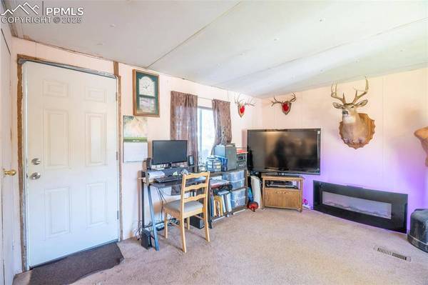 310 Blossom RD, Woodland Park, CO 80863