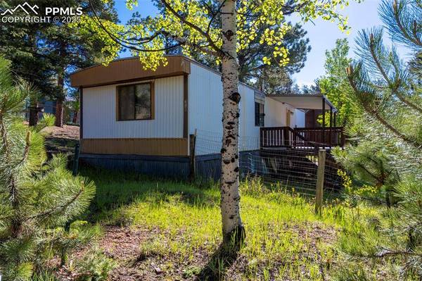 310 Blossom RD, Woodland Park, CO 80863