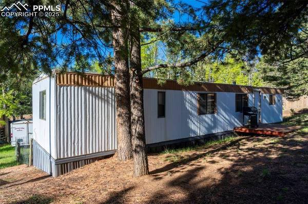 310 Blossom RD, Woodland Park, CO 80863