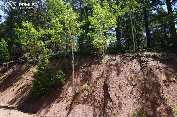 1000 Bennett DR, Cripple Creek, CO 80813