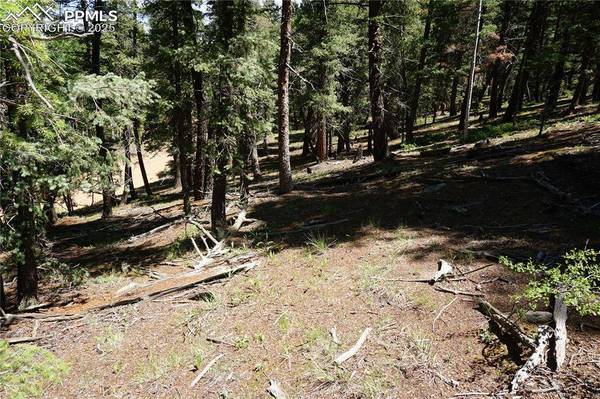 1000 Bennett DR, Cripple Creek, CO 80813