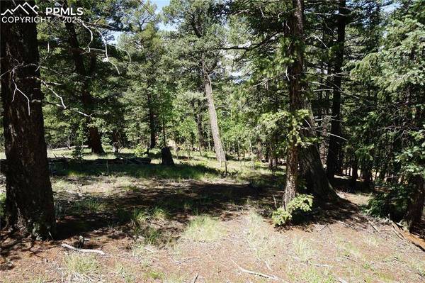 1000 Bennett DR, Cripple Creek, CO 80813