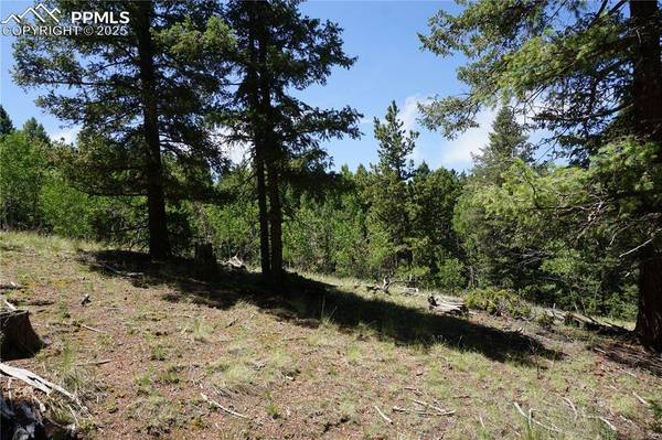 1000 Bennett DR, Cripple Creek, CO 80813