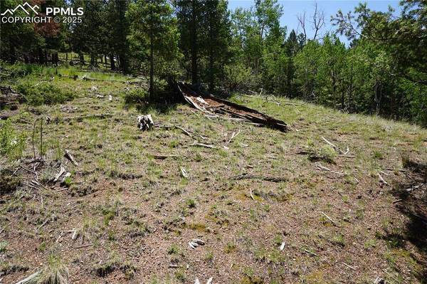 1000 Bennett DR, Cripple Creek, CO 80813