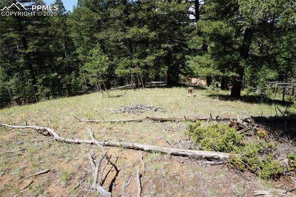 1000 Bennett DR, Cripple Creek, CO 80813