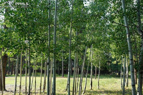 W Bowman AVE, Woodland Park, CO 80863