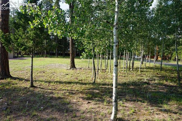 W Bowman AVE, Woodland Park, CO 80863