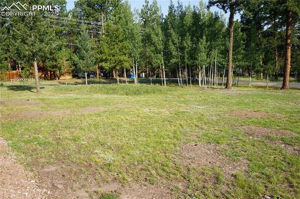 W Bowman AVE, Woodland Park, CO 80863