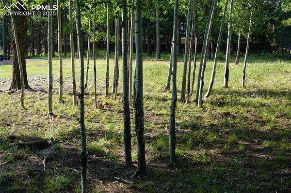 W Bowman AVE, Woodland Park, CO 80863